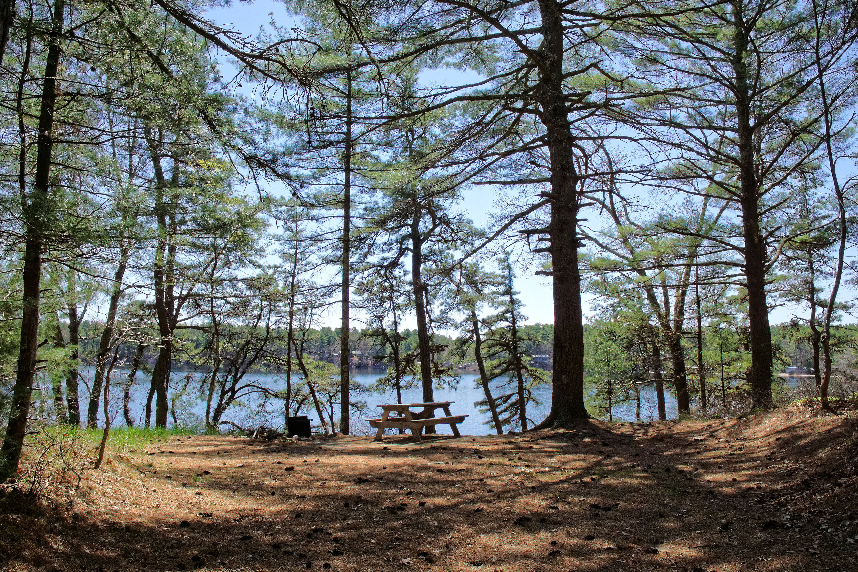 Curlew Pond campsite