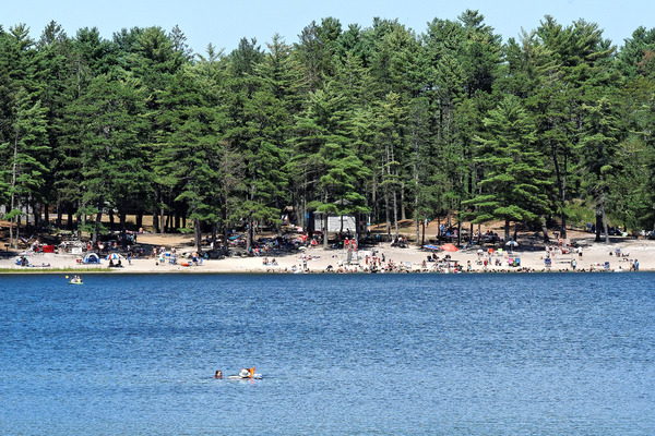 College Pond swimming beach