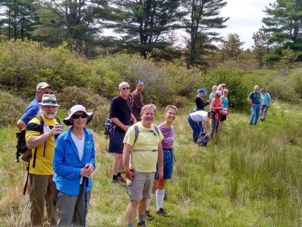 Friends hike in Myles Standish State Forest