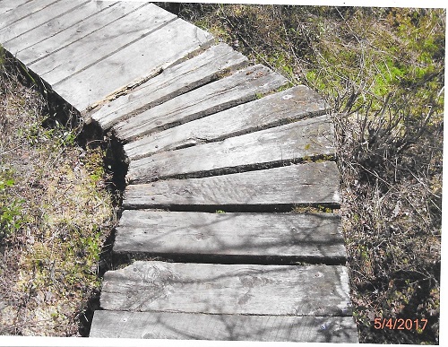 East Head Reservoir boardwalk