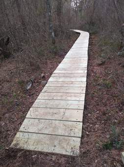 picture of East Head boardwalk after re-decking