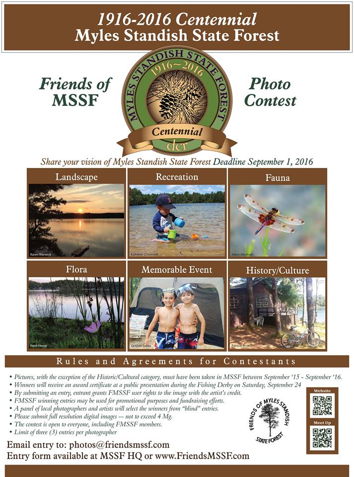 Friends photo contest