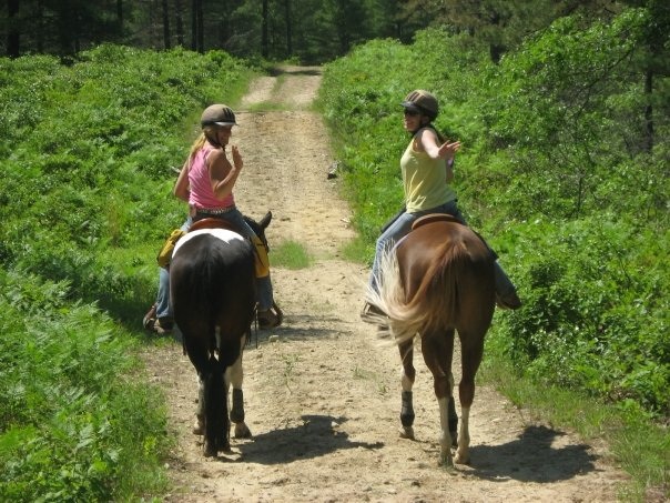 Equestrians2