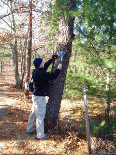 finishing trail
